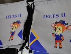 “Ielts-100” хөтөлбөр  хоёр дахь удаагаа эхэллээ