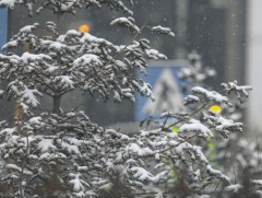 ЦАГ АГААР: Улаанбаатарт өдөртөө 6 хэм хүйтэн   