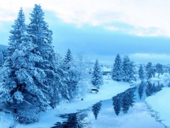 Өвлийн саруудад нутгийн хойд хэсгээр олон жилийн дунджаас хүйтэн байх төлөвтэй байна