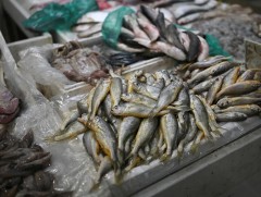 БНХАУ Японы далайн бүтээгдэхүүнд дахин хориг тавина