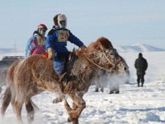 Хүүхдээр өвөл, хавар хурдан морь унуулахгүй байхыг уриалж байна