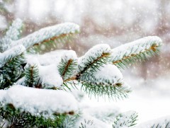 ЦАГ АГААР: Увс нуурын хотгор, Хөвсгөлийн уулсаар ялимгүй цас орно