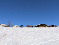 Баян-Өлгий, Увс, Ховдын ихэнх нутгаар зудын эрсдэл үүсэх төлөвтэй байна