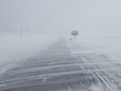 Төөрсөн сураггүй болсон 3 удаагийн дуудлага бүртгэгдэж, эрлийн ажиллагааг зохион байгууллаа