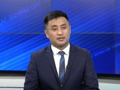 Энэ оны мал, тэжээвэр амьтны тооллого маргааш өндөрлөнө 