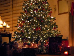 Гацуур модны гэрлэн чимэглэлийн аюулгүй байдалд анхааръя