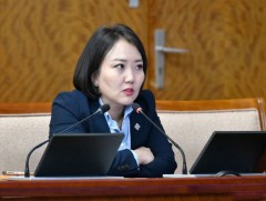 Д.Үүрийнтуяа: Хариуцлагагүй иргэн, ААН-д татварын хөнгөлөлт үзүүлбэл дабль стандарт алдагдана