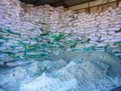 Г.Билгүүн: Байгальд ээлтэй, хурдан уусдаг бодис зам талбайд цацаж, халтиргаа гулгаанаас сэргийлж б..