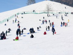 Скай ресорт чиглэлд нийтийн тээвэр үйлчилж байна