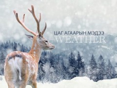 Ирэх арав хоногт цаг агаар ямар байх вэ