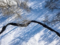 Ойрын 10 хоногийн цаг агаарын урьдчилсан төлөв 