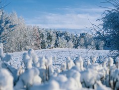 Ирэх 10 хоногт цаг агаар ямар байх вэ 