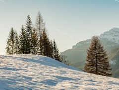 Арав хоногийн цаг агаарын урьдчилсан төлөв 