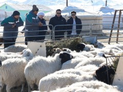 Баянхонгор аймгийн  8 сум зудын их эрсдэлтэй ангилалд байна