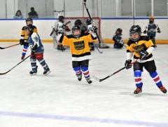 Хоккейчдын 