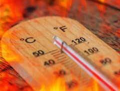 Эрдэмтэд 2025 оныг түүхэнд гуравт орох хамгийн халуун жил болсныг нотоллоо