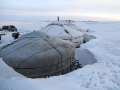 Зудын эрсдэлийг хохирол багатай даван туулах зорилгоор нөхөн төлбөрийг нэг удаа урьдчилан олгож бо..