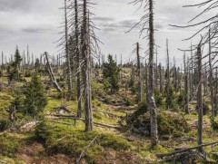 Ойн устгал... 