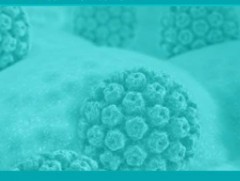 Нэгдүгээр сар умайн хүзүүний хорт хавдраас урьдчилан сэргийлэх сар