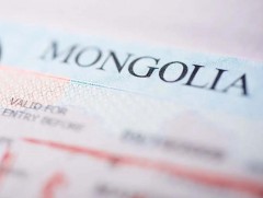 Өнгөрөгч онд 124,945 гадаадын иргэнд виз олгожээ