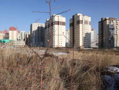 Ногоон нуур орчмын 4.5 га талбайг чөлөөлж, хиймэл нуур бүхий цэцэрлэгт хүрээлэн байгуулна