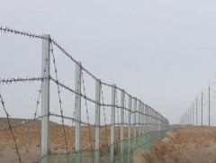 Сүүлийн хоёр жилд төмөр замын торонд 3000 орчим цагаан зээр, хулан хорогджээ