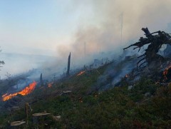 Хээржиж буй ой... 