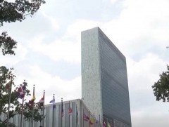 НҮБ хиймэл оюуны аюулгүй байдлын анхны олон улсын хэмжээний зөвлөл байгуулав