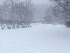 Хүчтэй салхи, шуурганы аюулт үзэгдлээс сэрэмжтэй байж, аюулгүй байдлаа хангахыг зөвлөж байна 