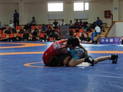 Чөлөөт бөхийн Өсвөр үе, Залуучуудын улсын аварга шалгаруулах тэмцээн Дархан хотноо болно