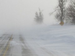 Энэ сарын 11-нээс нутгийн баруун хагаст, цаашдаа ихэнх нутгаар цас орж, шуурна