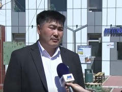 Булган аймгийн Дашинчилэн сумын эх малын 80 хувь нь төллөөд байна