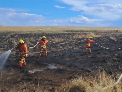 Ой, хээрийн 7 гал түймэр бүртгэгдснээс 3 түймрийг бүрэн унтраажээ