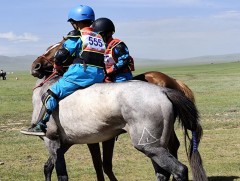 Үндэсний их баяр наадам хязаалангийн уралдаанаар эхэллээ 