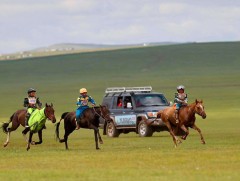 Өмнөговь аймгийн уяач Ч.Батжаргалын хонгор халзан соёолон түрүүллээ