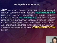 Морингагийн навчны нунтаг агуулсан хүнсний нэмэлт бүтээгдэхүүнээс нянгийн халдвар илэрчээ
