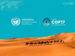 COP17: Гэр хорооллын 10 мянга гаруй өрхийг цэвэр халаалтын шийдэлд шилжүүлэх боломжийг хэлэлцэнэ