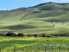 Улсын аварга тариаланч М.Мөнхбат долоодугаар сараас эхлэн эртийн ургац авчээ