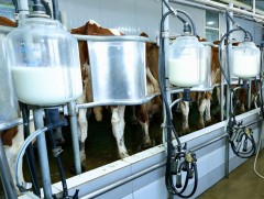 УИХ-ын дарга эрчимжсэн ферм, усалгаатай газар тариалантай танилцлаа