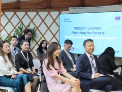 COP17: Монгол Улс “Ойн санхүүжилт” (Finance for Forests) төслийг албан ёсоор эхлүүллээ
