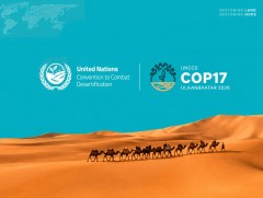COP17: Монголын ойн салбарт шинэлэг санхүүжилт, хөрөнгө оруулалтын боломжийг хэлэлцлээ