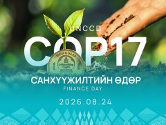 COP17: Өнөөдөр “Санхүүжилтийн өдөр”-өөр үргэлжилнэ