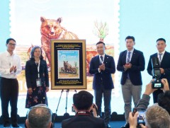 COP17: Мазаалай баавгайг дүрсэлсэн дурсгалын шуудангийн маркийг танилцууллаа